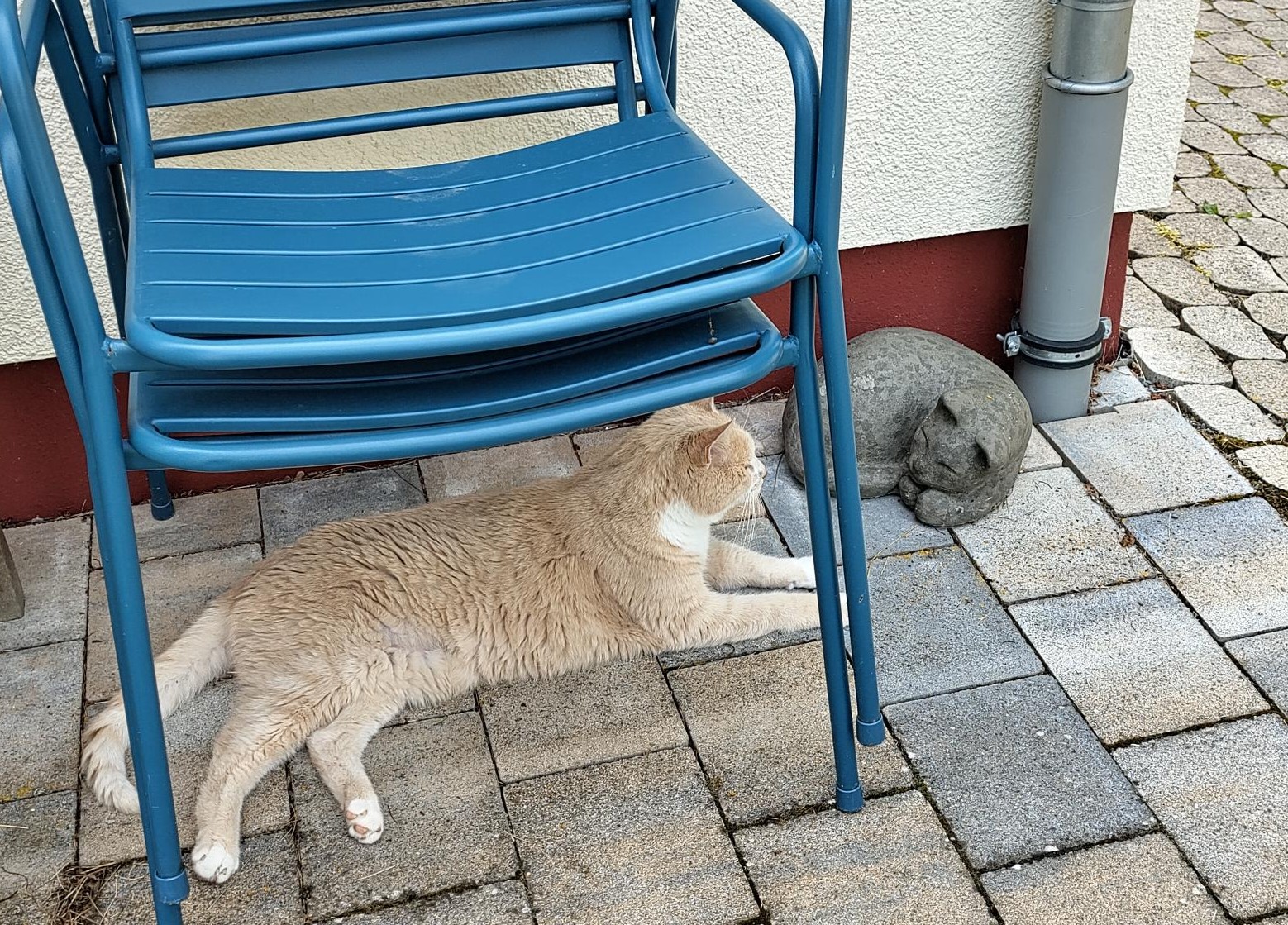 Unter einem blauen Gartenstuhl liegt, auf einer der Außenterrassen, eine gelb-weiß getiegerte Katze, ihr gegenüber liegt, eingekringelt, eine schwarze Katze aus Ton